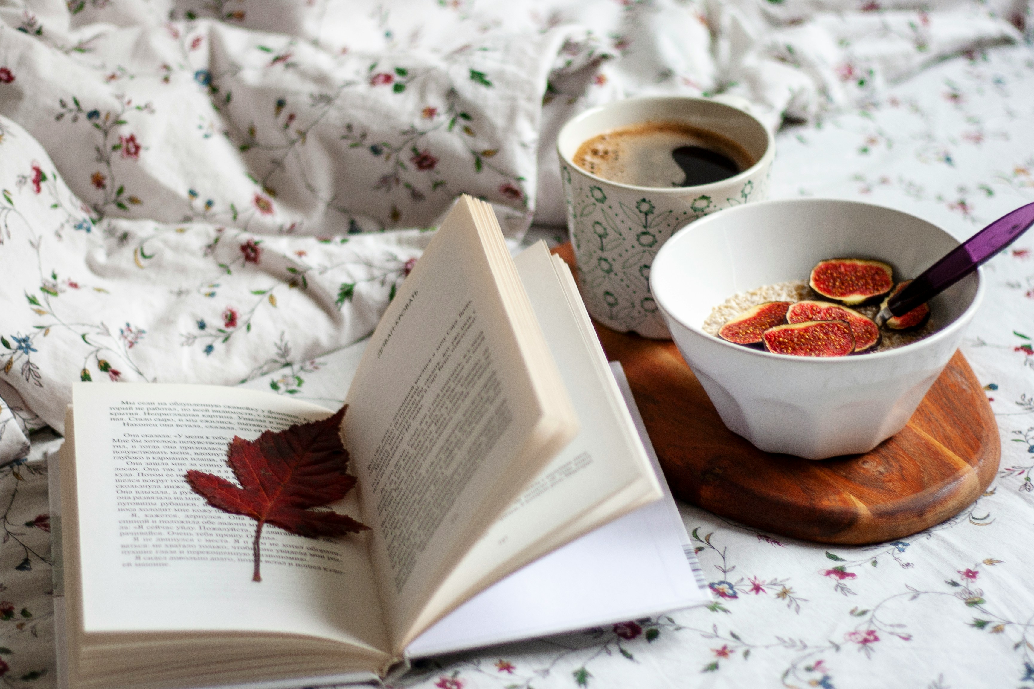 Kniha, kafe a miska s fíky na lůžku — útulné ráno